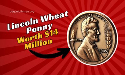 $14 Million Lincoln Wheat Penny: A Rare Treasure That Could Be Hiding in Your Coin Collection