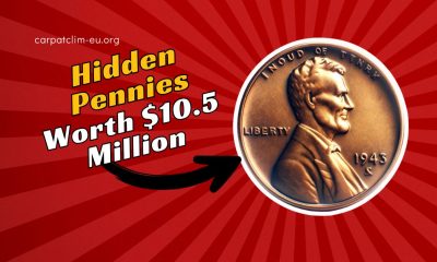 3 Hidden Pennies Discovered Under Floorboards – One Valued at $10.5 Million