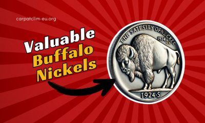 5 Most Valuable Buffalo Nickels, From Least to Most Expensive