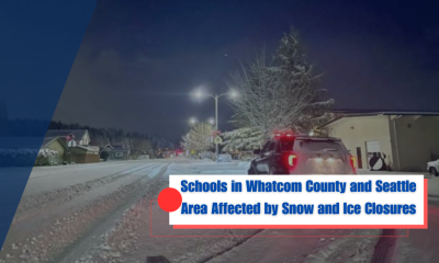 Schools in Whatcom County and Seattle Area Affected by Snow and Ice Closures