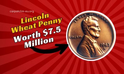 The Lincoln Wheat Penny Valued at $7.5 Million, Still in Circulation?